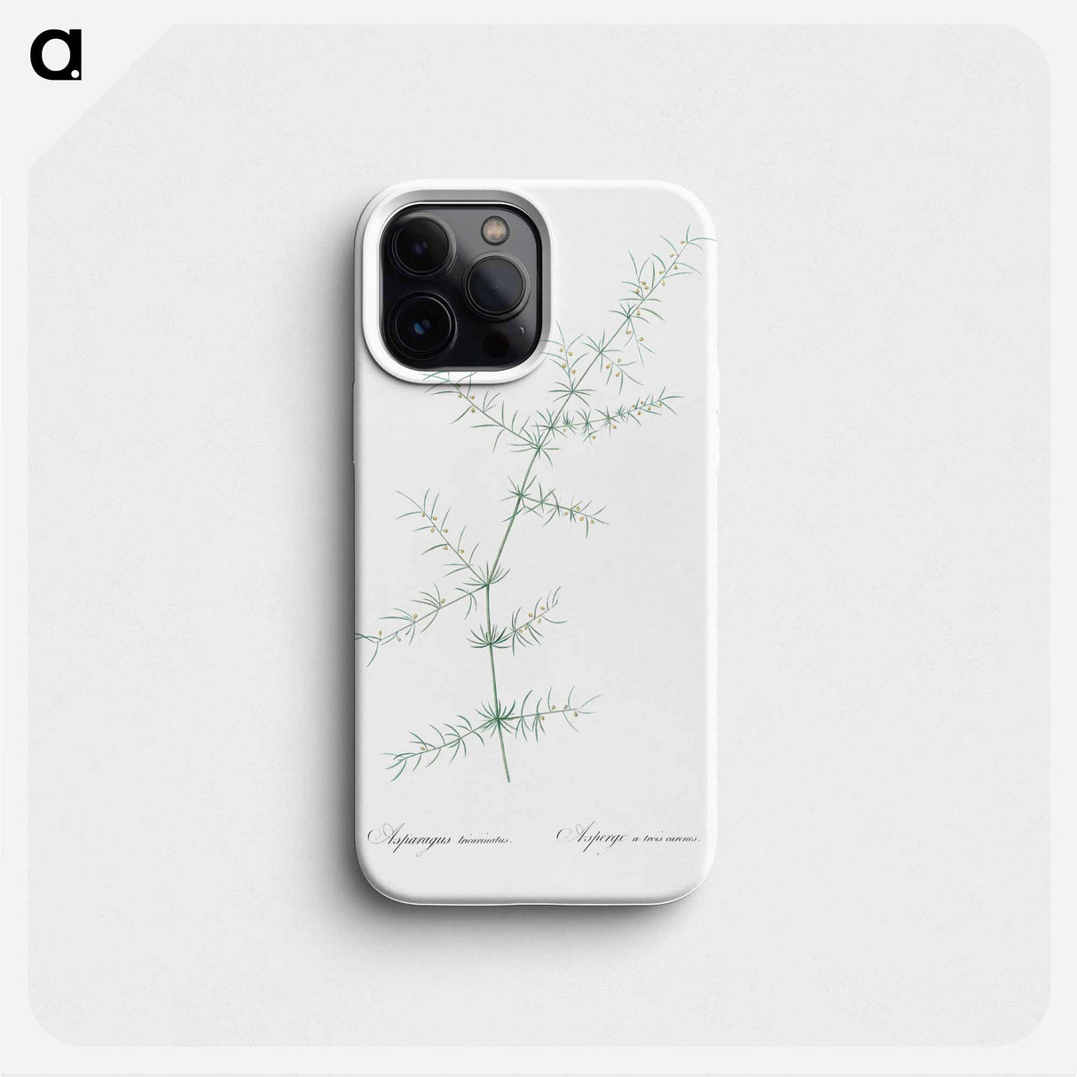 Climbing asparagus - Pierre Joseph Redouté Phone Case.