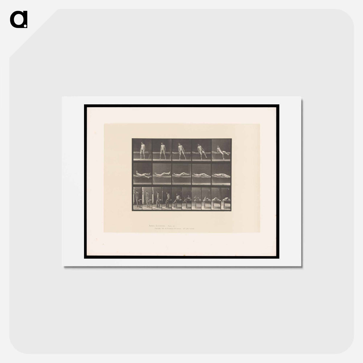 アートポストカード-Man on a Bed
- エドワード マイブリッジ Postcard.