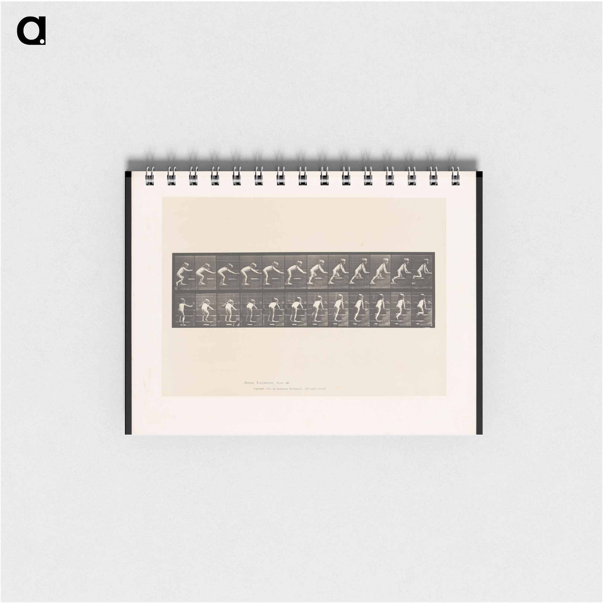アートメモ帳-Crawling Up Stairs
- エドワード マイブリッジ Memo.