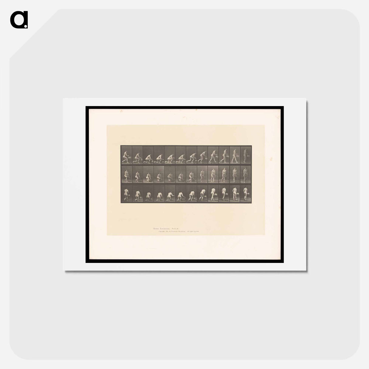 アートポストカード-Woman with Basket
- エドワード マイブリッジ Postcard.