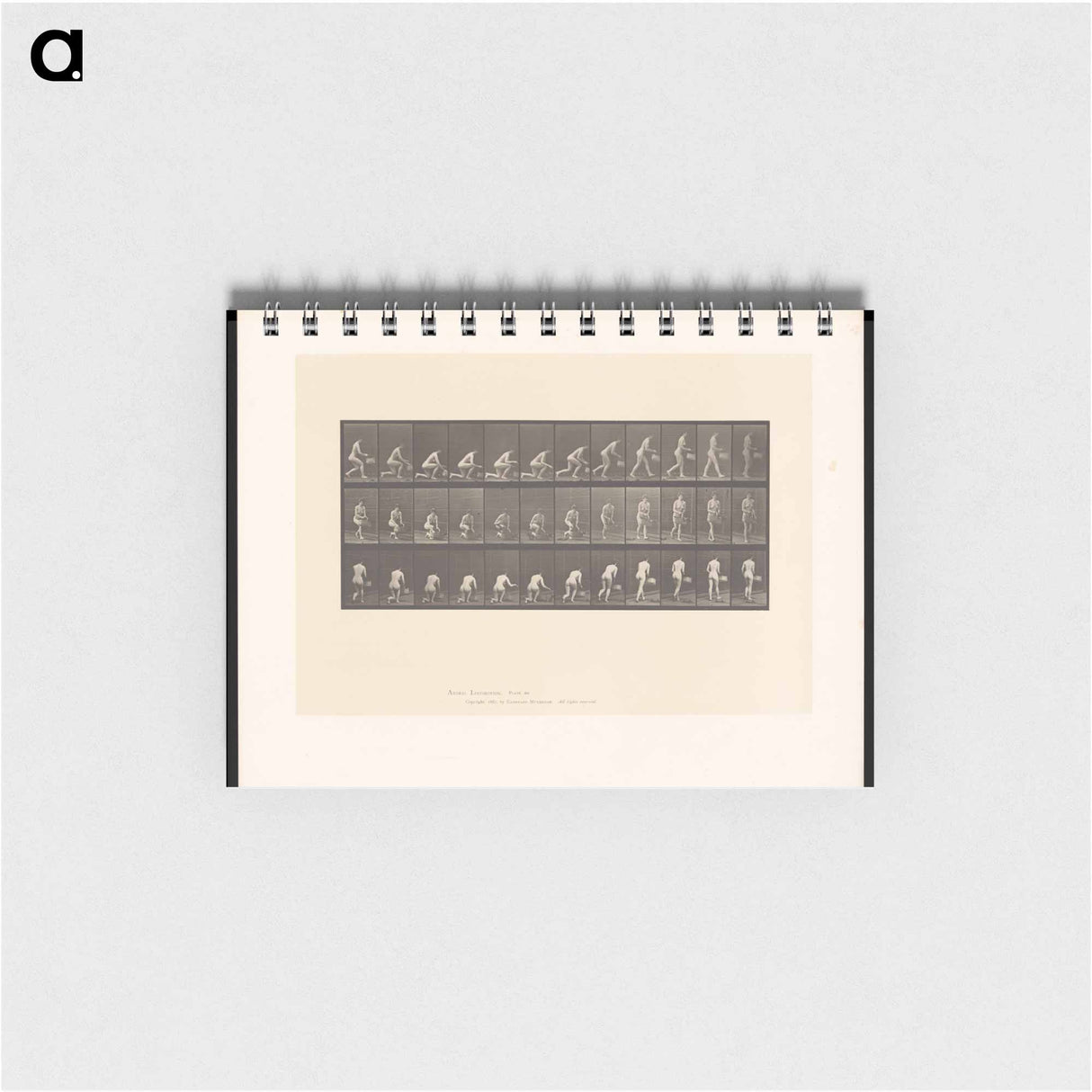 アートメモ帳-Woman with Basket
- エドワード マイブリッジ Memo.