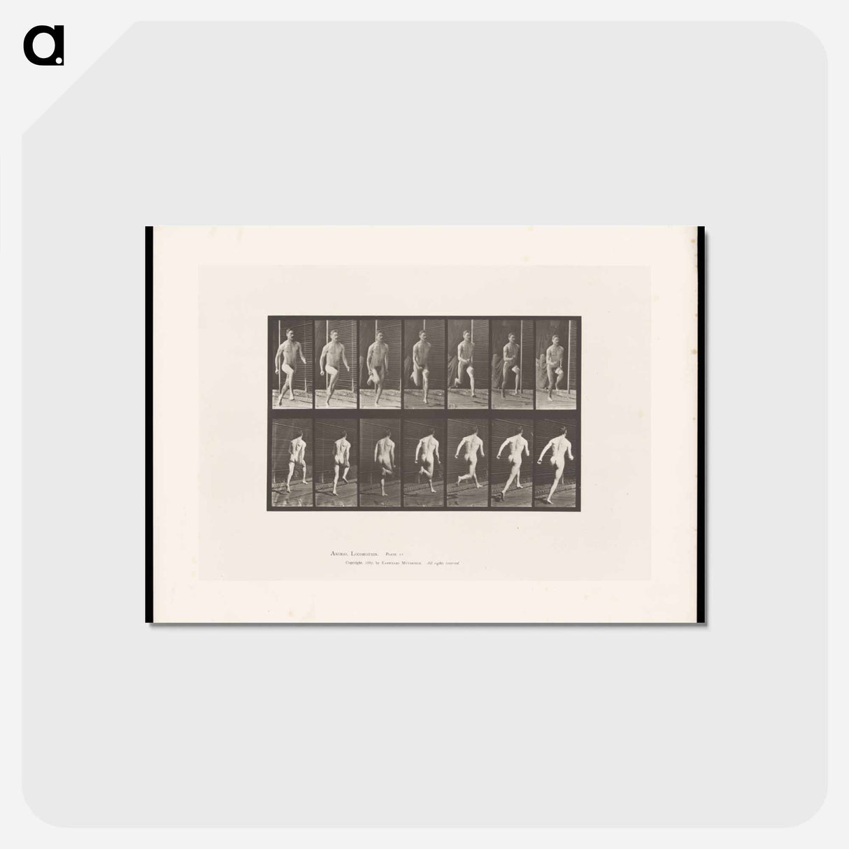 アートポストカード-Naked Man Running
- エドワード マイブリッジ Postcard.