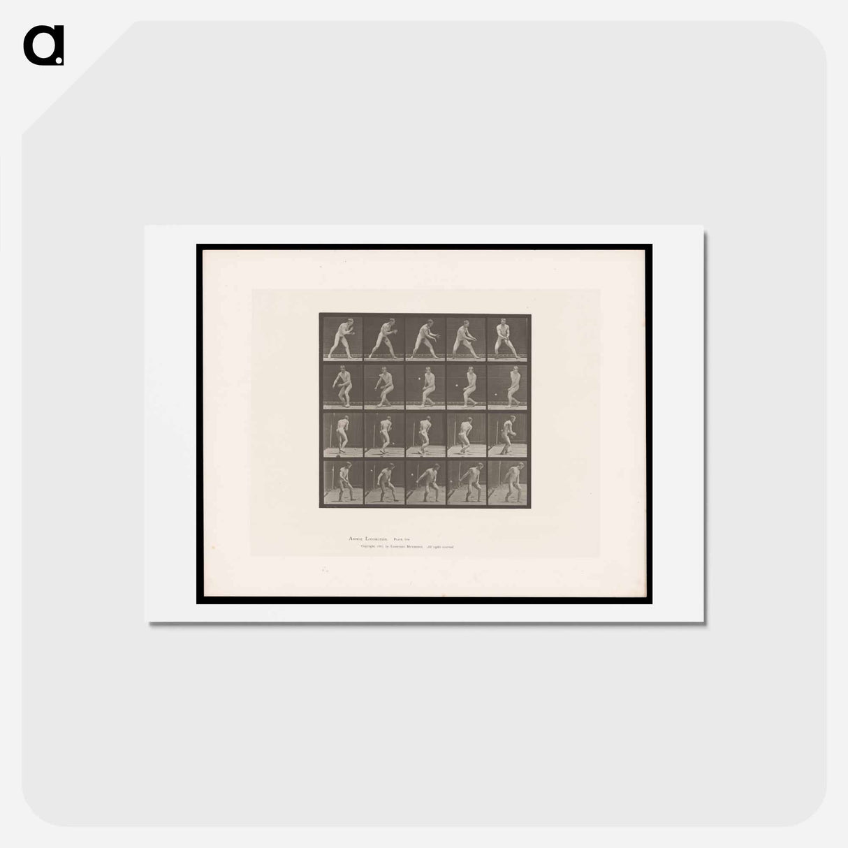 アートポストカード-The Ball Player
- エドワード マイブリッジ Postcard.