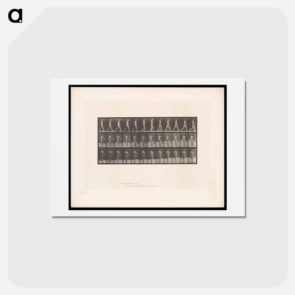 アートポストカード-Man Walking
- エドワード マイブリッジ Postcard.
