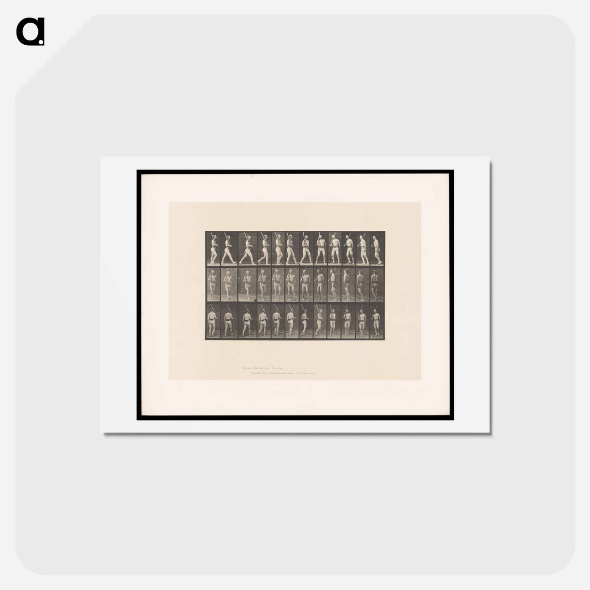 アートポストカード-Man with Rifle
- エドワード マイブリッジ Postcard.