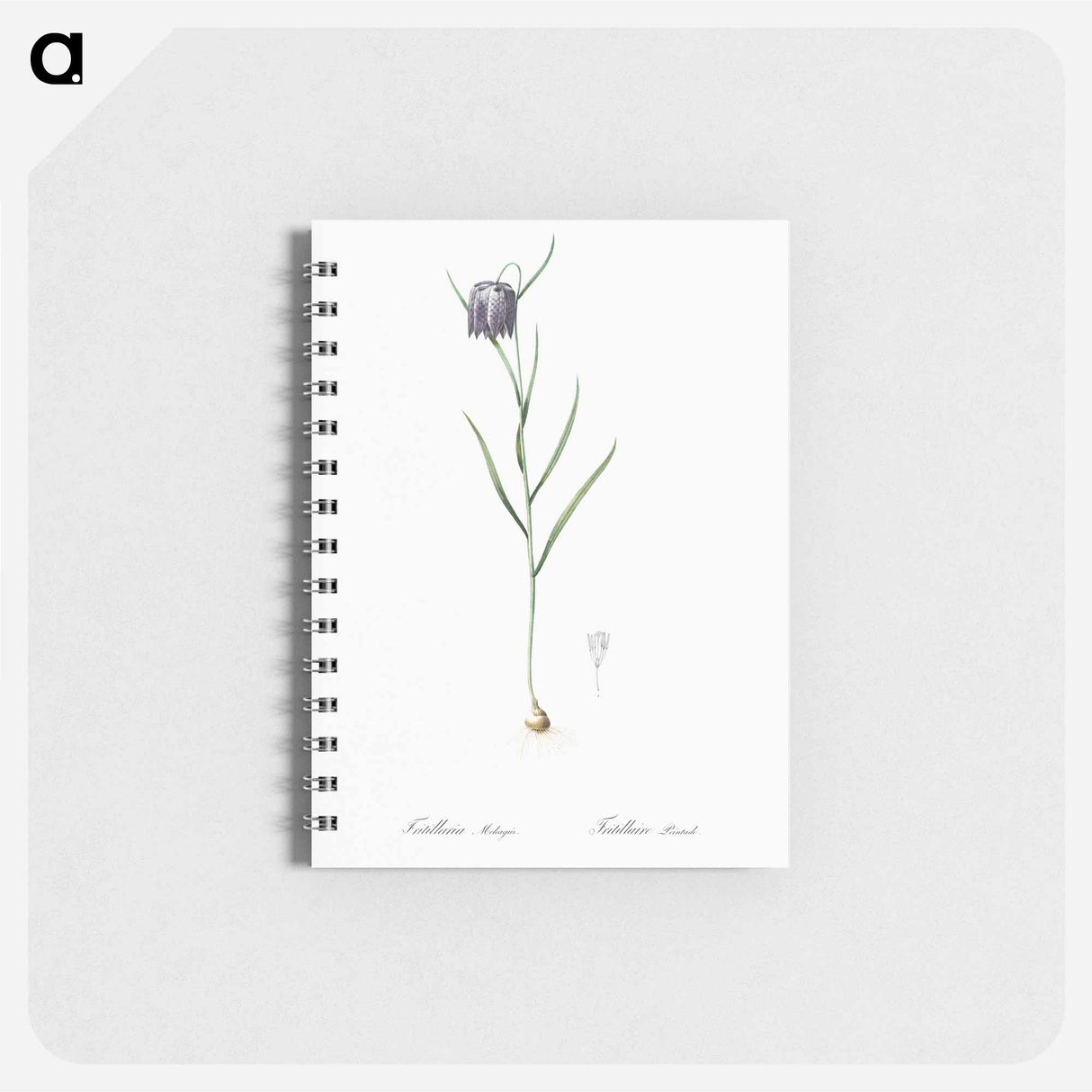 アートメモ帳-Chess flower illustration - ピエール ジョゼフ ルドゥーテ Memo.