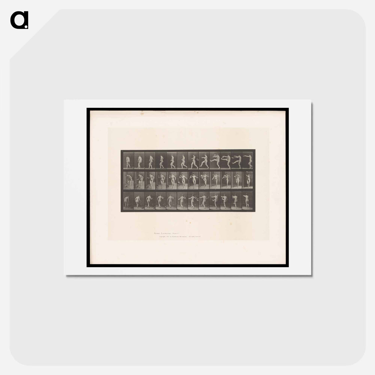 アートポストカード-Hat Play
- エドワード マイブリッジ Postcard.