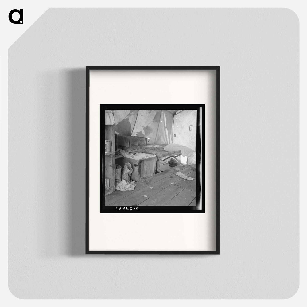 Untitled photo, possibly related to: Tent interior in a pea pickers' camp. Food supply and household equipment. Santa Clara County, California - Dorothea Lange Poster.