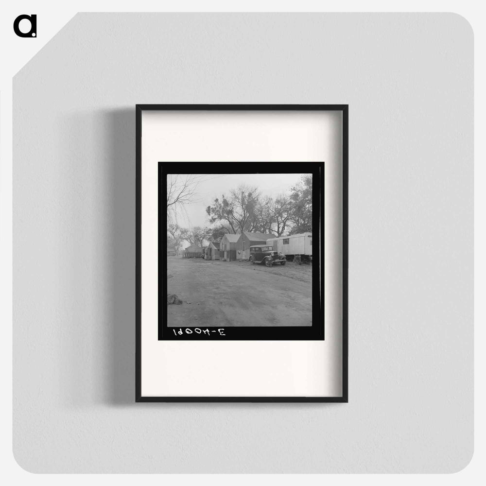 Untitled photo - Dorothea Lange Poster.