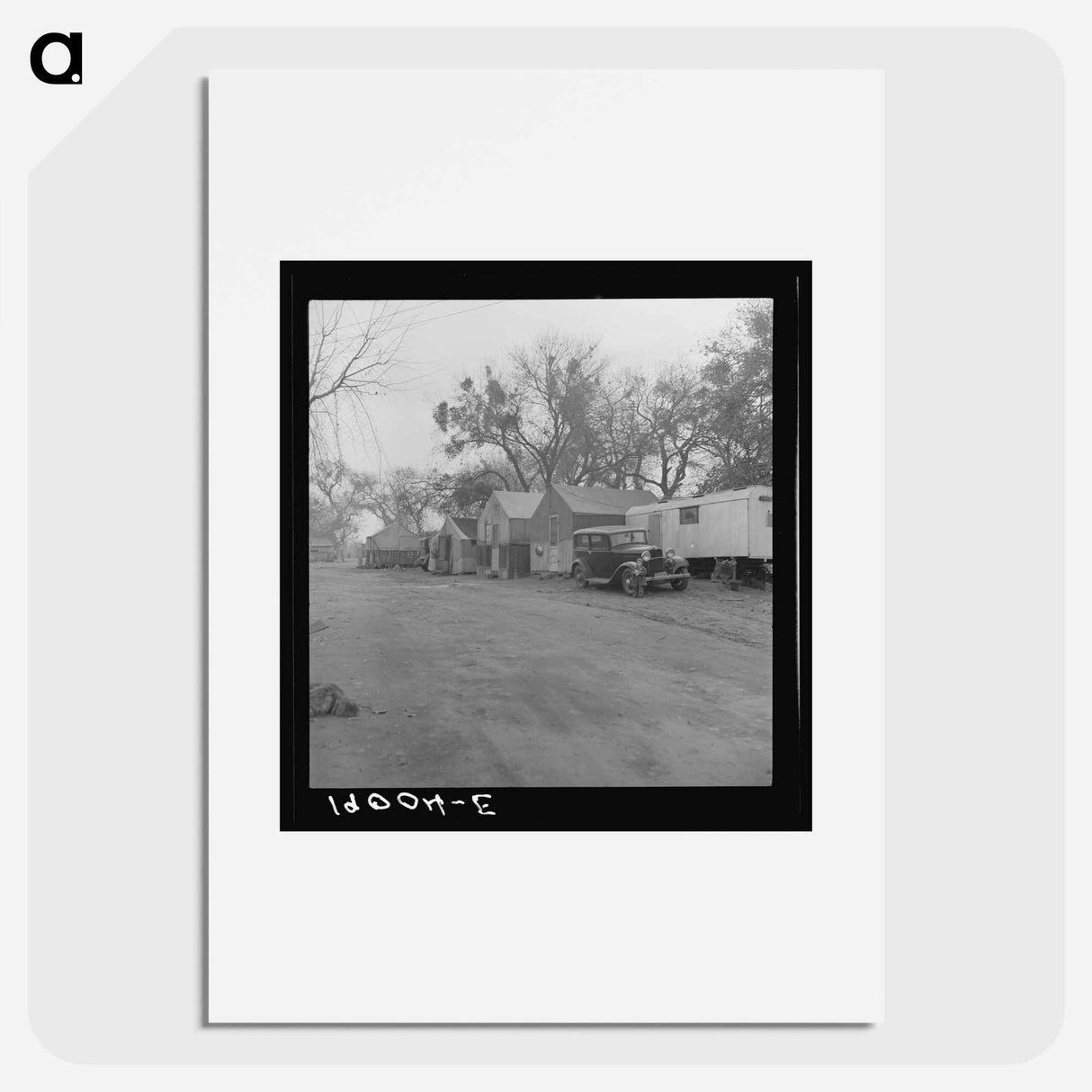 Untitled photo - Dorothea Lange Poster.