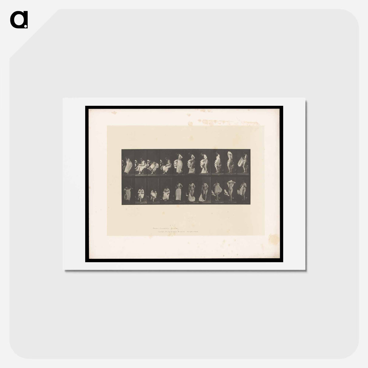 アートポストカード-Undressing
- エドワード マイブリッジ Postcard.