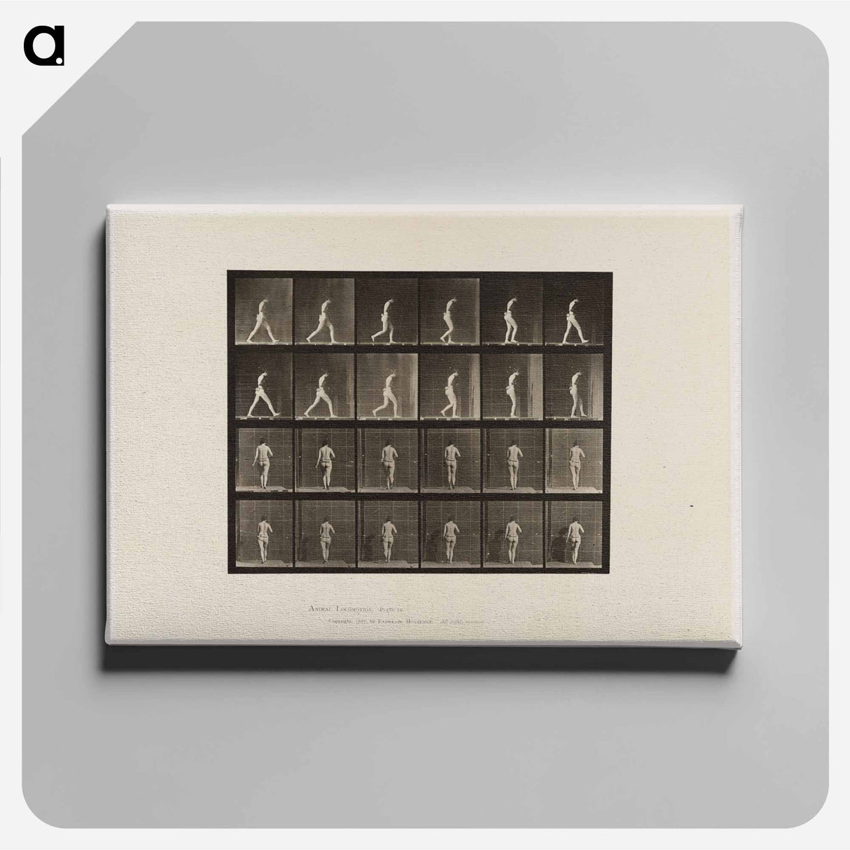 アートパネル-Naked Woman Walking
- エドワード マイブリッジ Canvas.