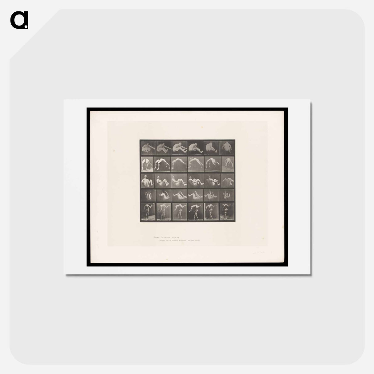 アートポストカード-Leaping Figure
- エドワード マイブリッジ Postcard.