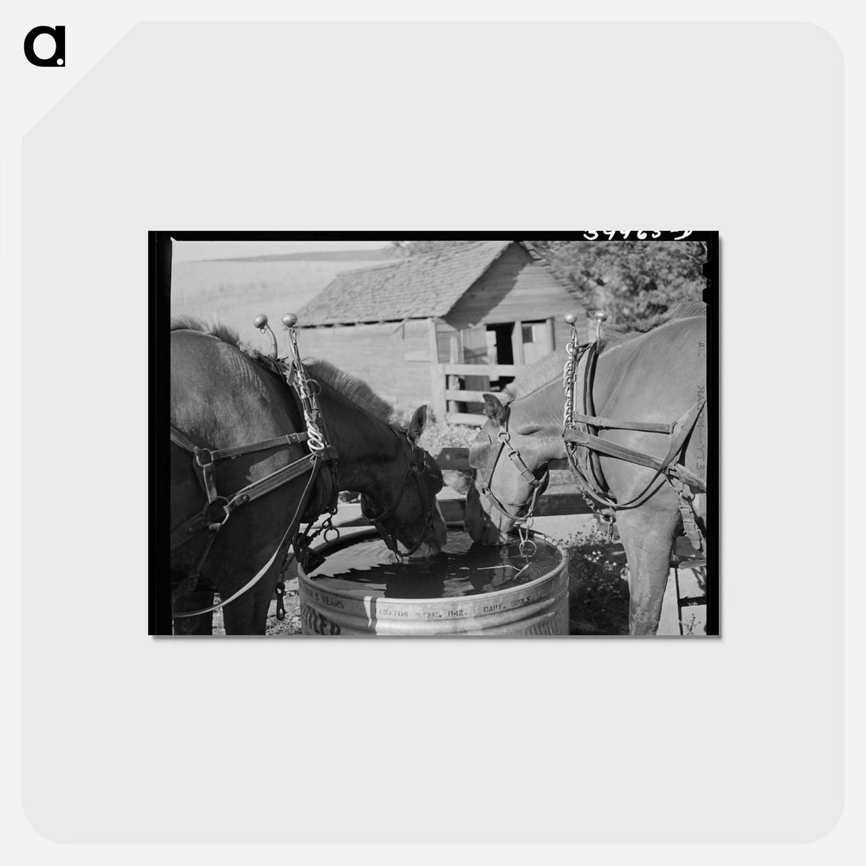 アートポストカード-Horses at the Watering Trough
- ラッセル リー Postcard.