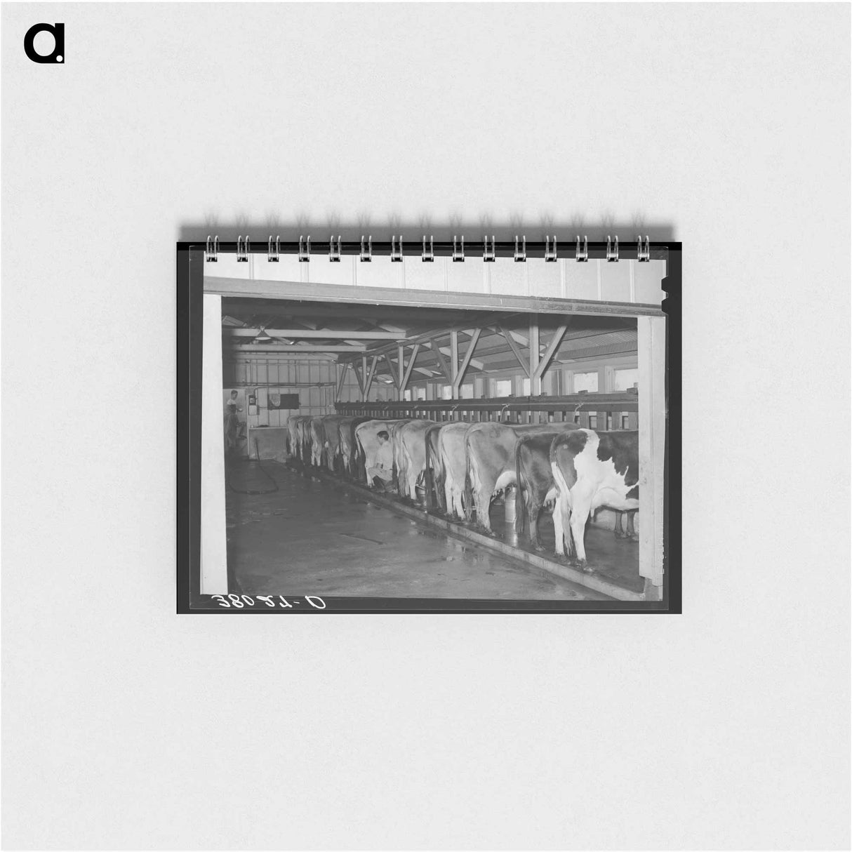 アートメモ帳-Kansas Truck Stop
- ラッセル リー Memo.