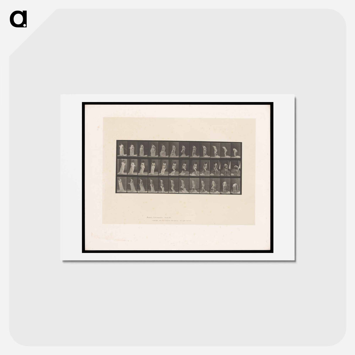 アートポストカード-Nude Descending
- エドワード マイブリッジ Postcard.