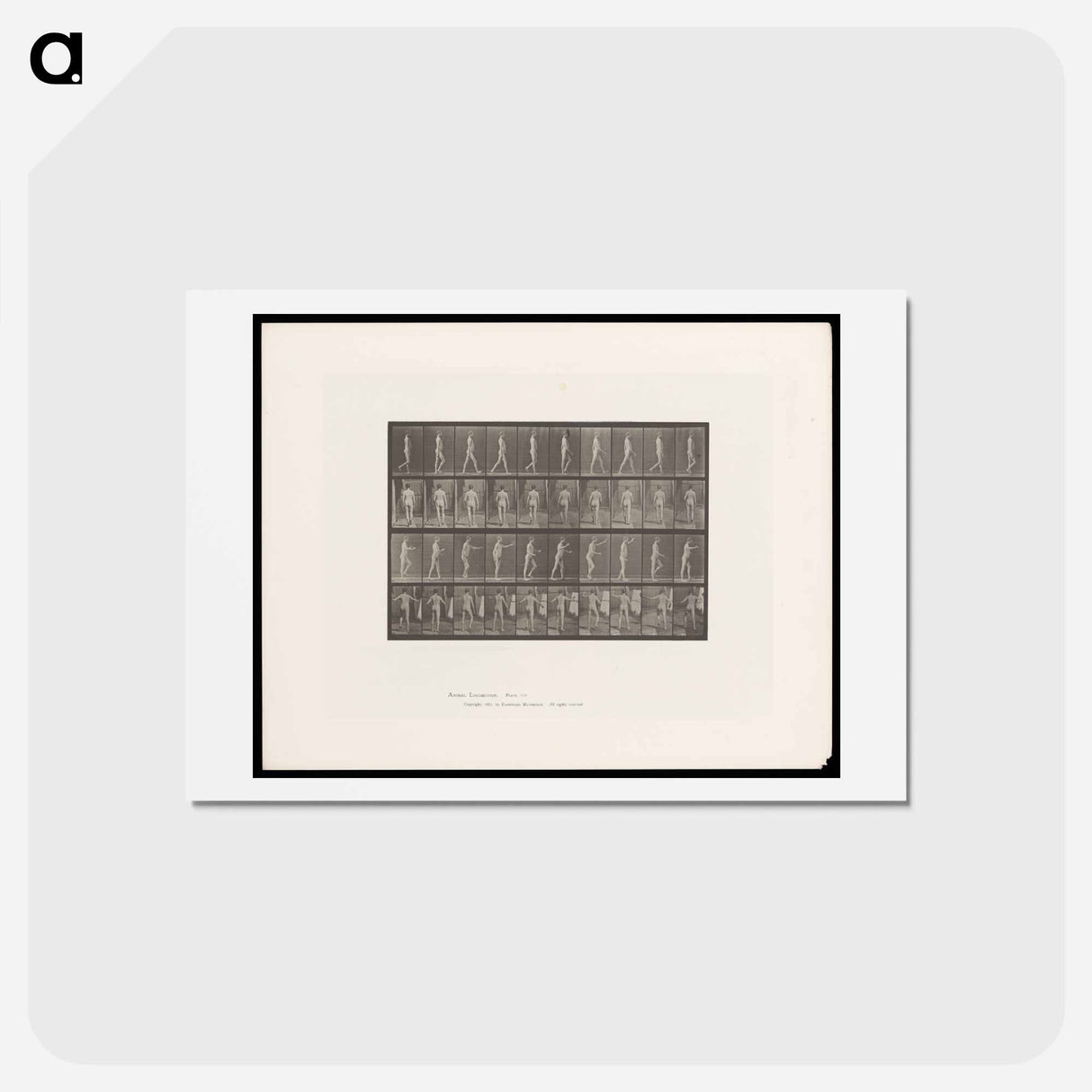 アートポストカード-Man Walking
- エドワード マイブリッジ Postcard.
