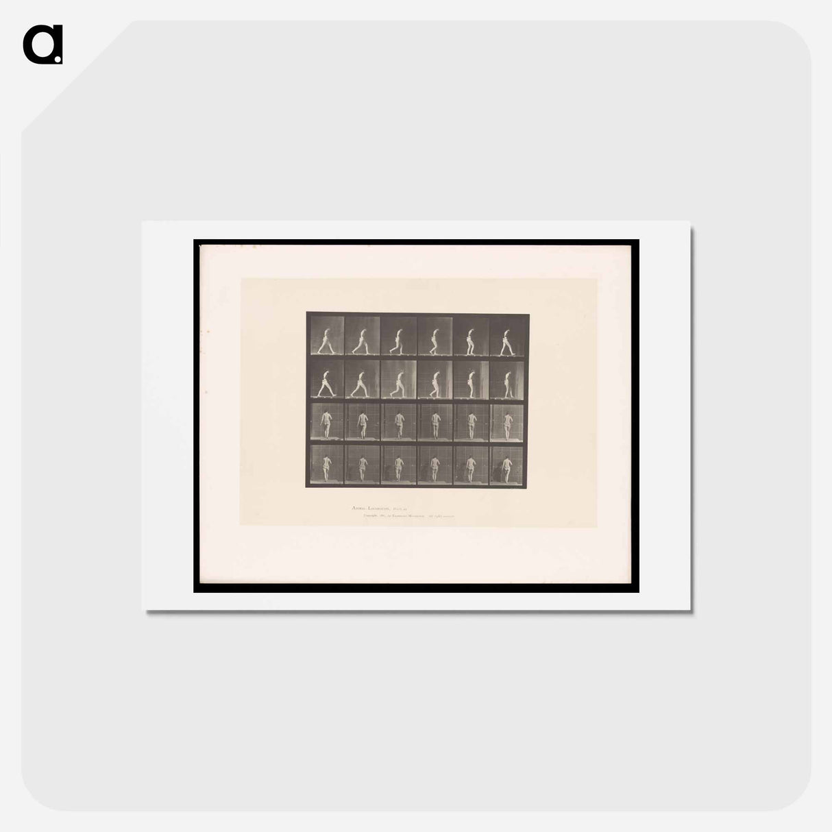 アートポストカード-Naked Woman Walking
- エドワード マイブリッジ Postcard.