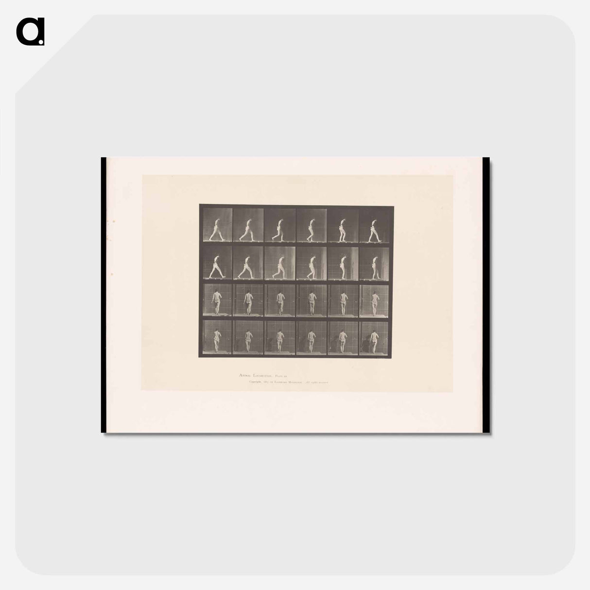 アートポストカード-Naked Woman Walking
- エドワード マイブリッジ Postcard.