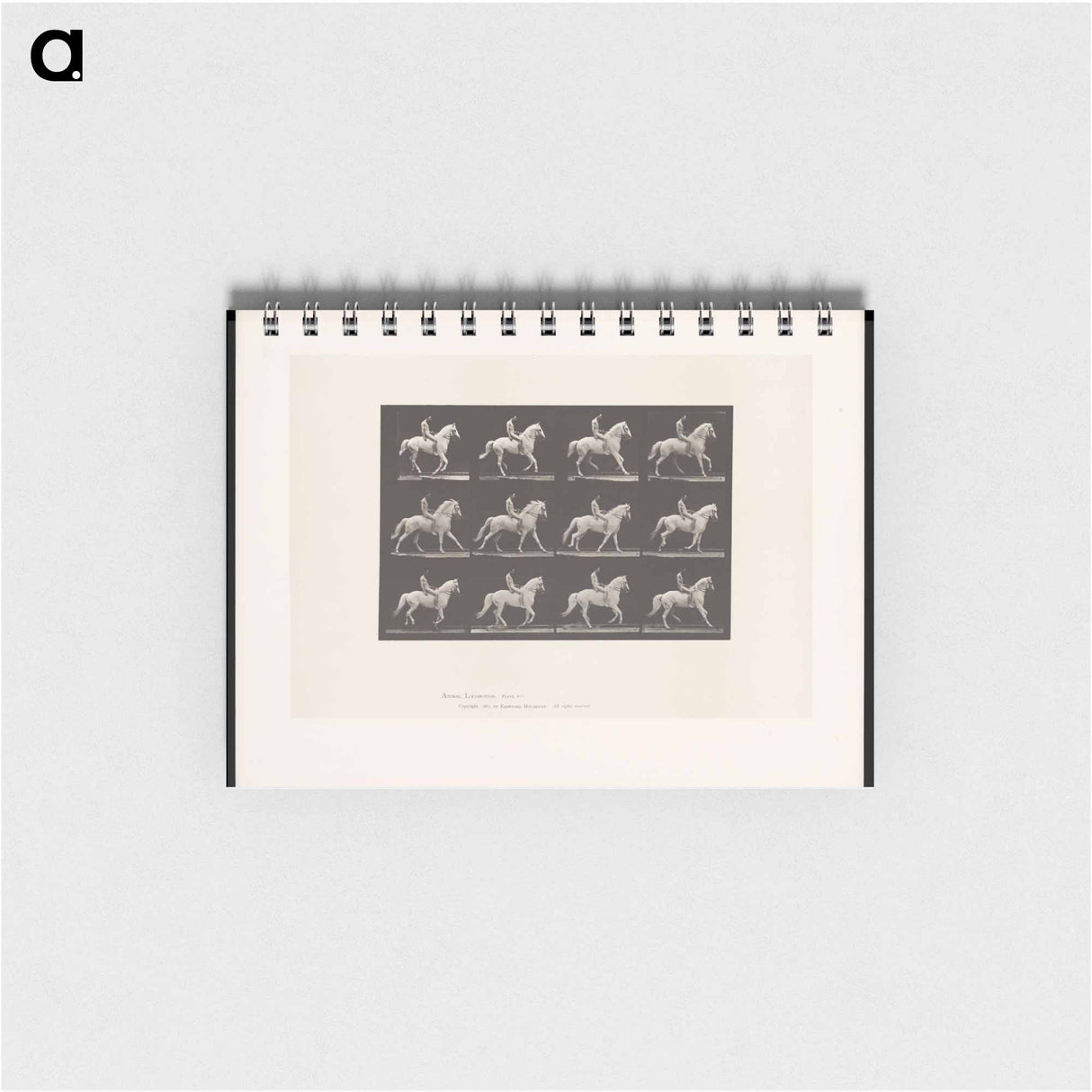 アートメモ帳-Naked Horseman
- エドワード マイブリッジ Memo.