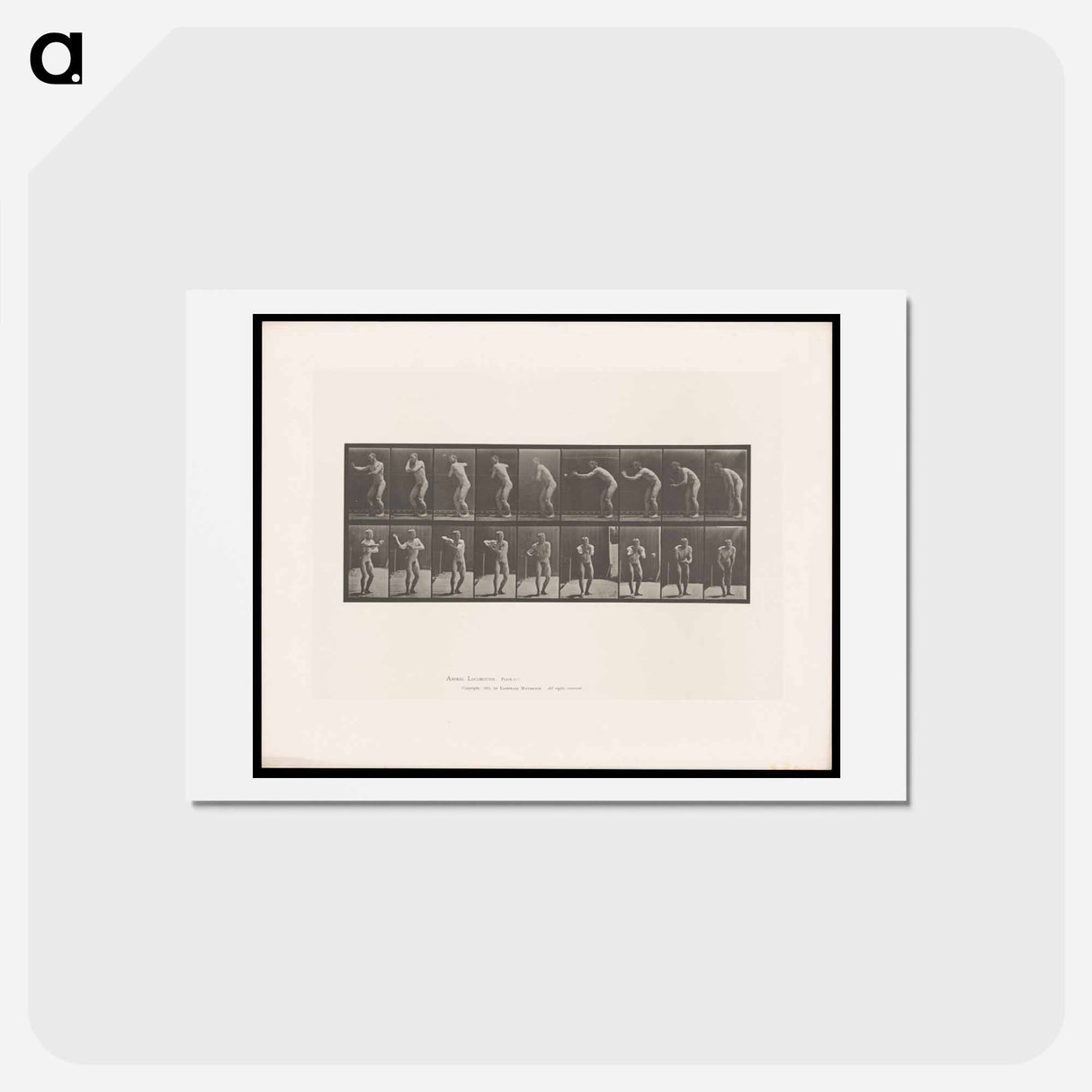 アートポストカード-The Throw
- エドワード マイブリッジ Postcard.