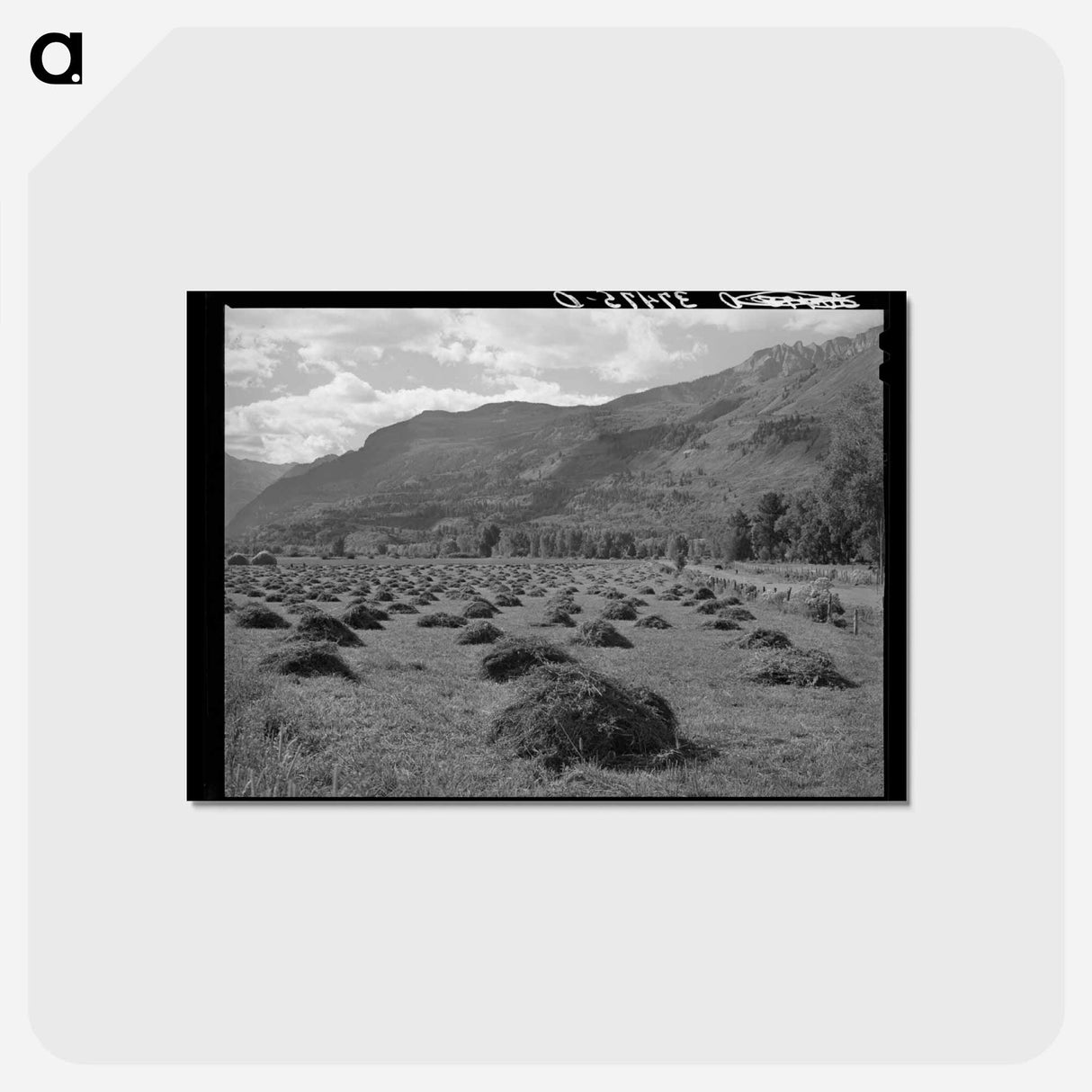 アートポストカード-Uncompahgre Valley Hay
- ラッセル リー Postcard.