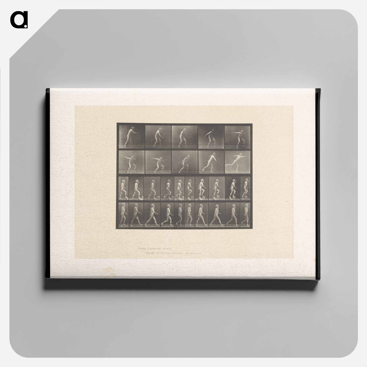 アートパネル-E. Muybridge: Motion Studies
- エドワード マイブリッジ Canvas.