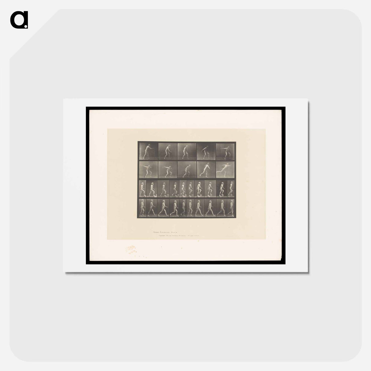 アートポストカード-E. Muybridge: Motion Studies
- エドワード マイブリッジ Postcard.