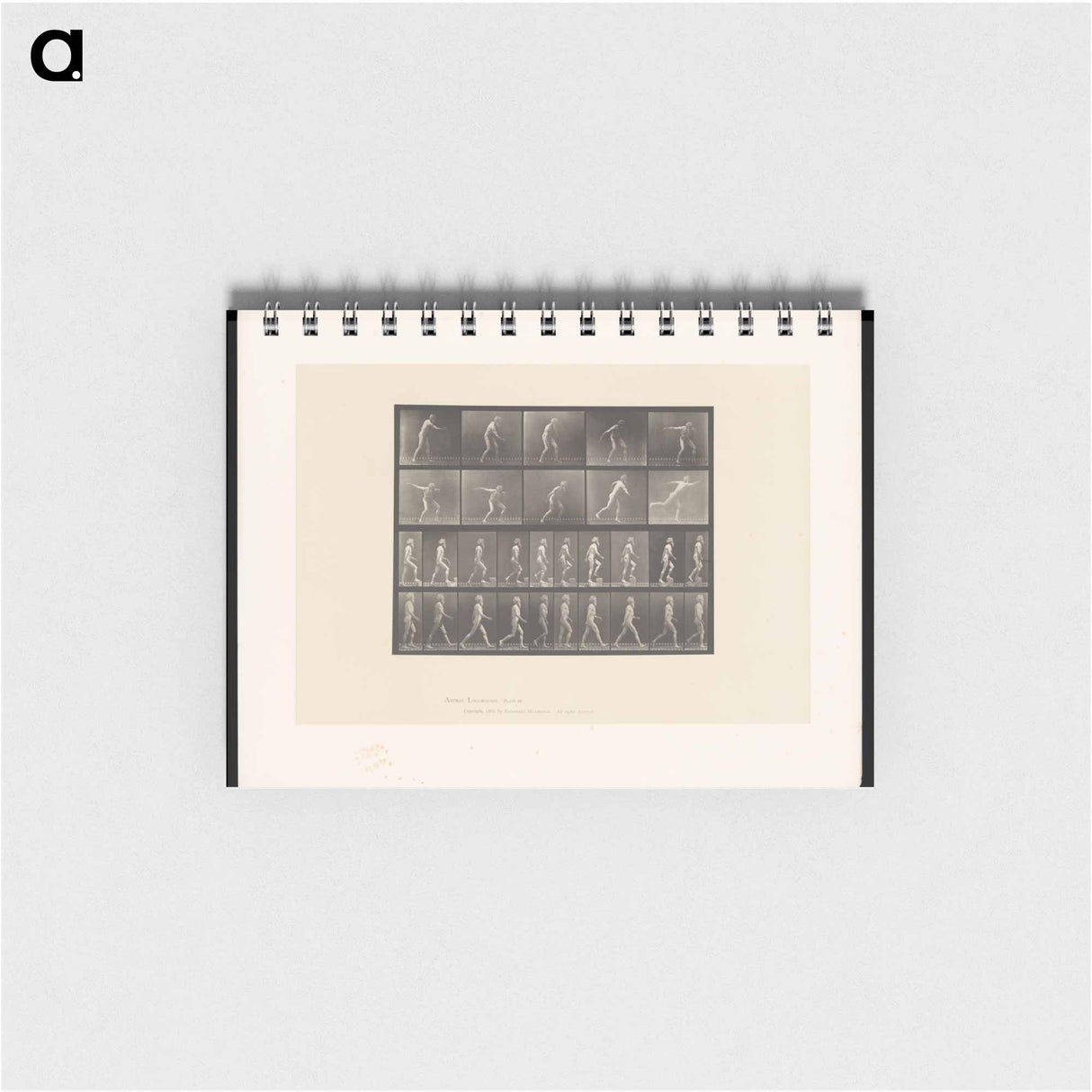 アートメモ帳-E. Muybridge: Motion Studies
- エドワード マイブリッジ Memo.
