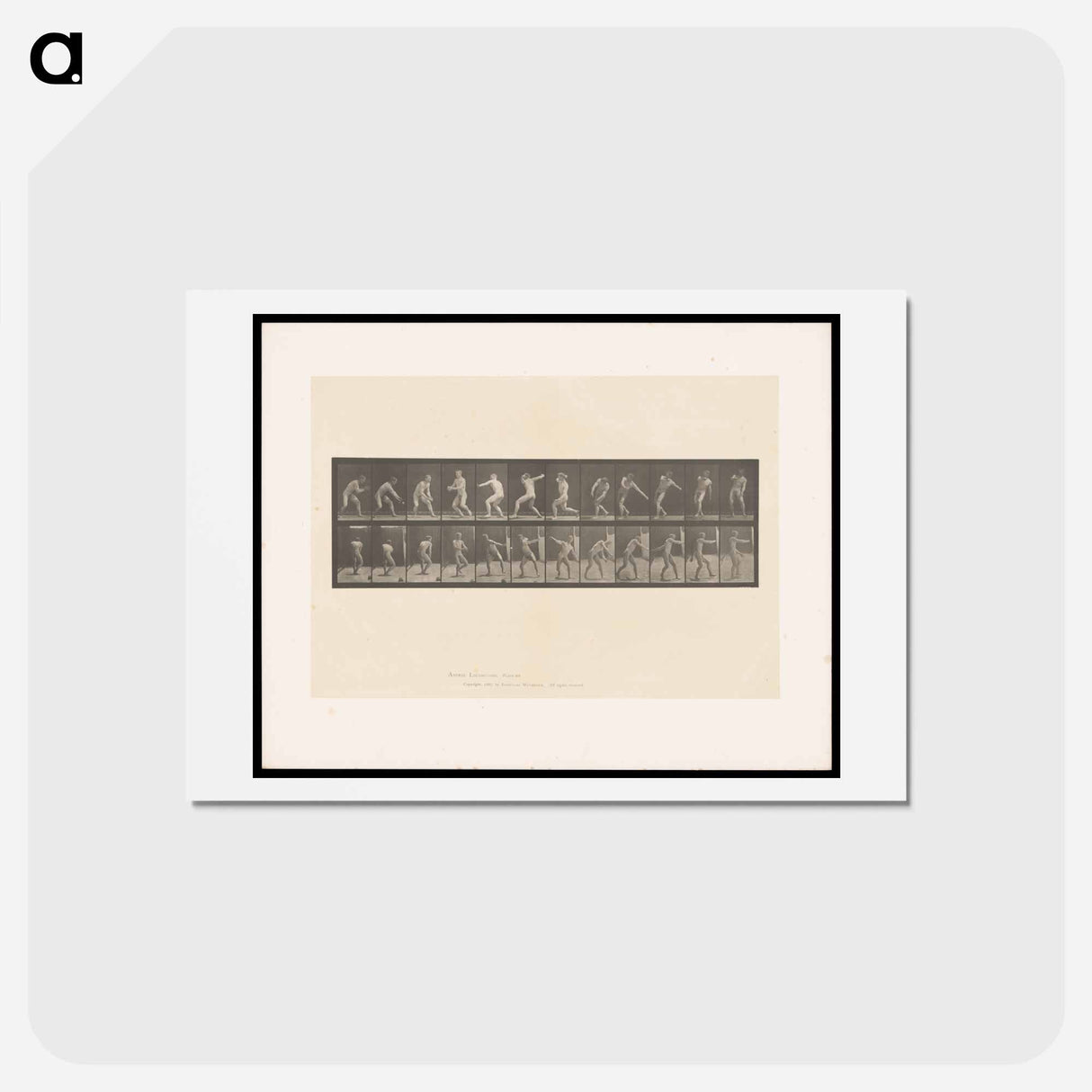 アートポストカード-The Ball Thrower
- エドワード マイブリッジ Postcard.