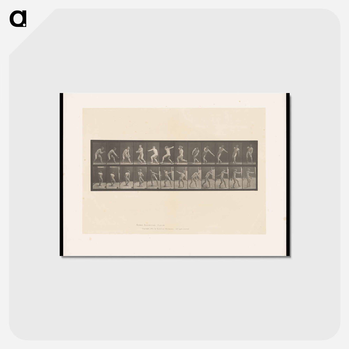 アートポストカード-The Ball Thrower
- エドワード マイブリッジ Postcard.