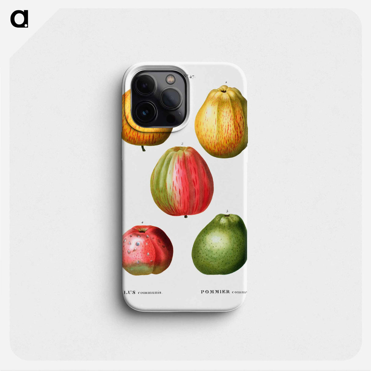 Apple - Pierre Joseph Redouté Phone Case.