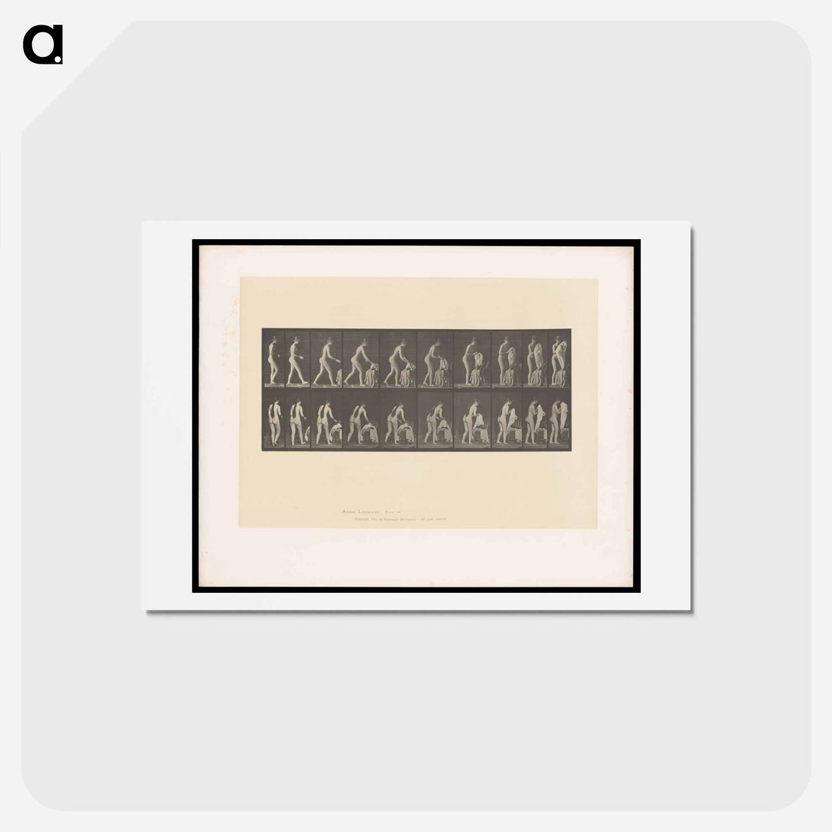 アートポストカード-Nude with Undergarment
- エドワード マイブリッジ Postcard.