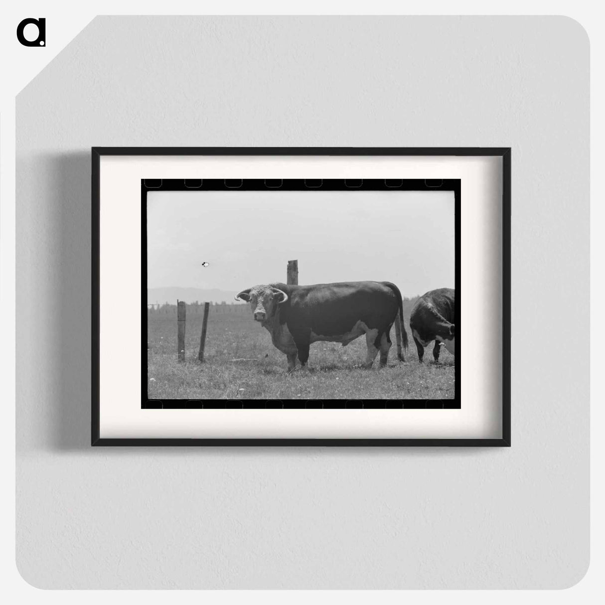 アートポスター-Bull. Cruzen Ranch
- ラッセル リー Poster.