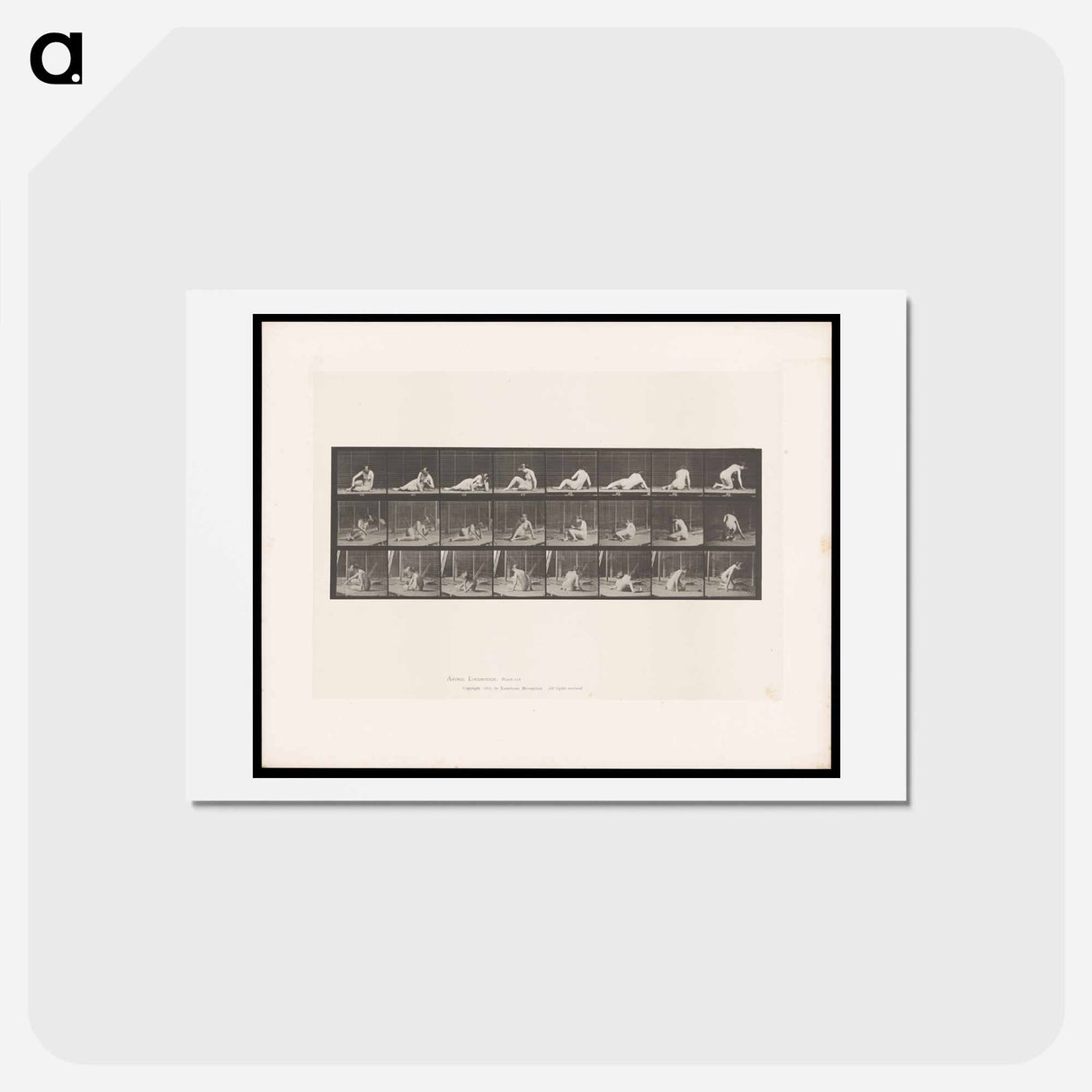 アートポストカード-Reclining Nude
- エドワード マイブリッジ Postcard.