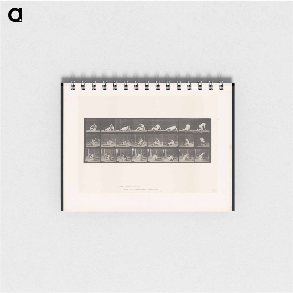 アートメモ帳-Reclining Nude
- エドワード マイブリッジ Memo.