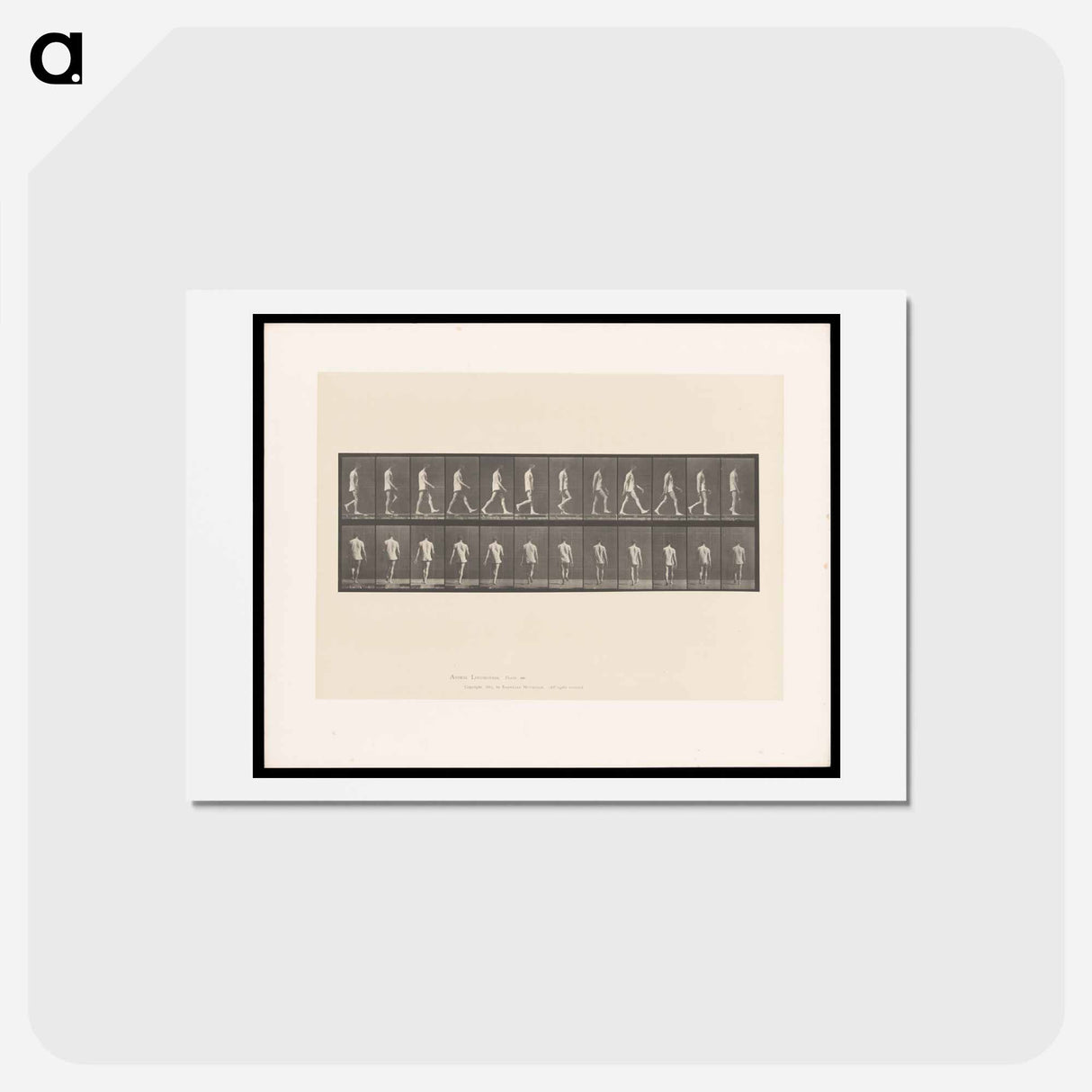 アートポストカード-Walking Man
- エドワード マイブリッジ Postcard.
