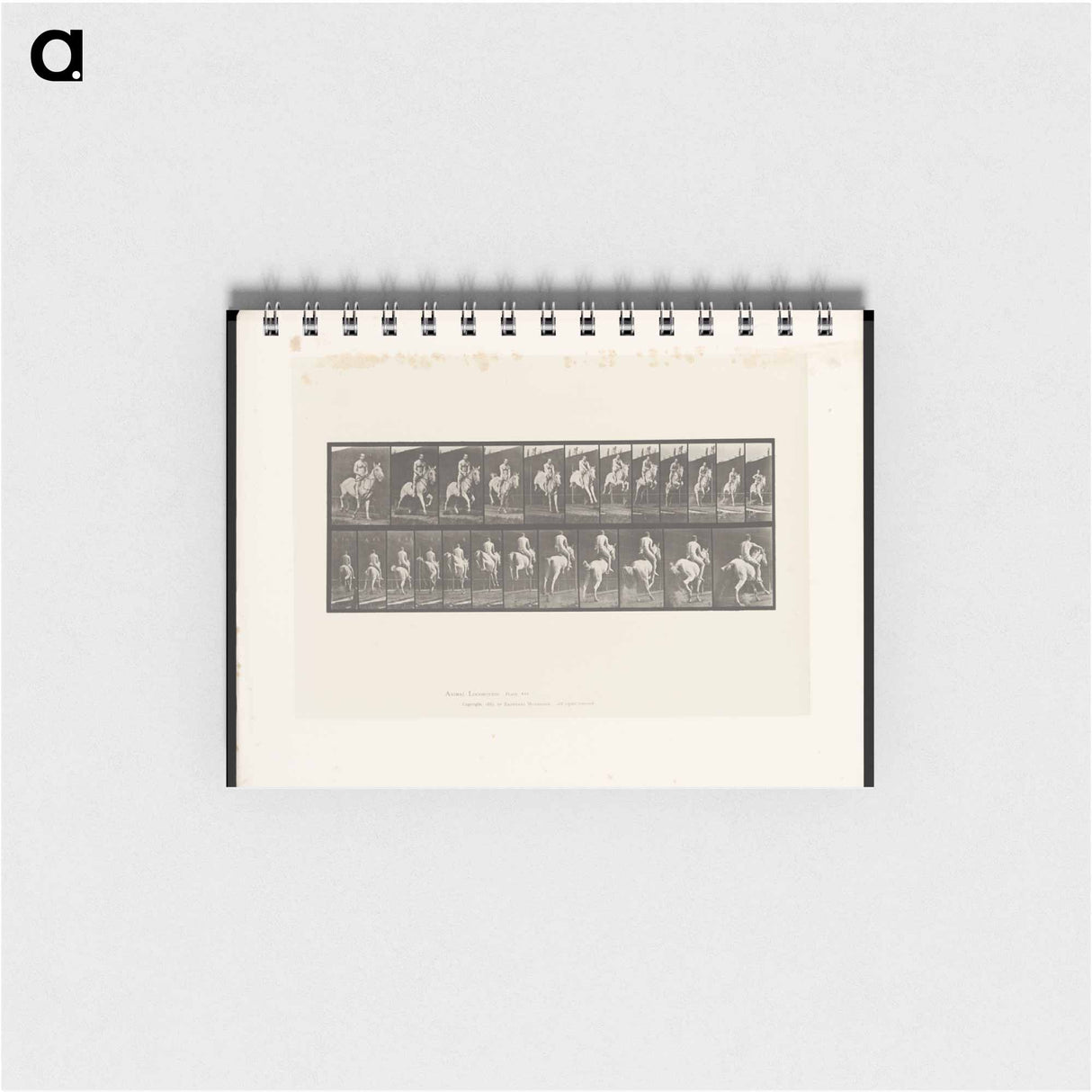 アートメモ帳-Man on Horse Jumping
- エドワード マイブリッジ Memo.