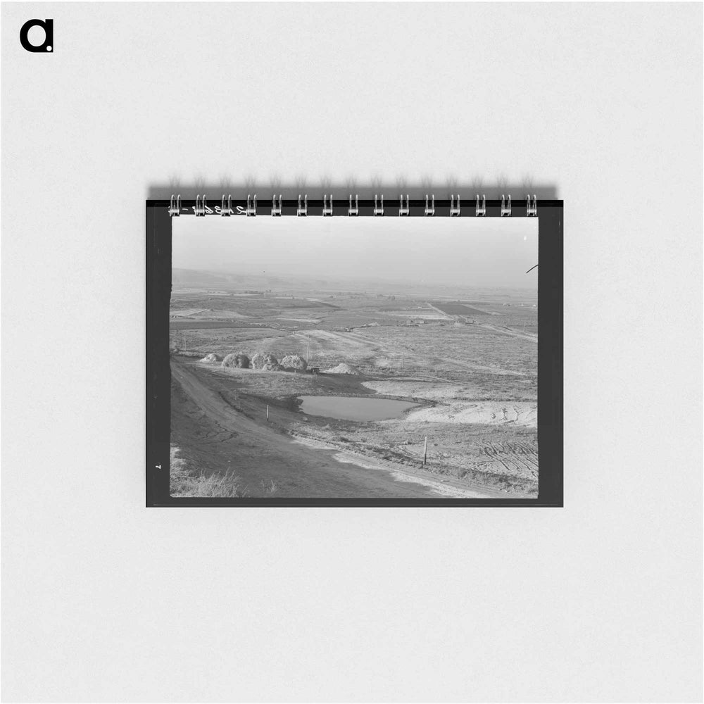Untitled photo - ドロテア ラング Memo.