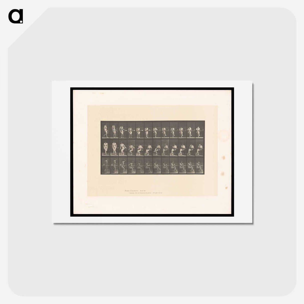 アートポストカード-Woman with Cup
- エドワード マイブリッジ Postcard.