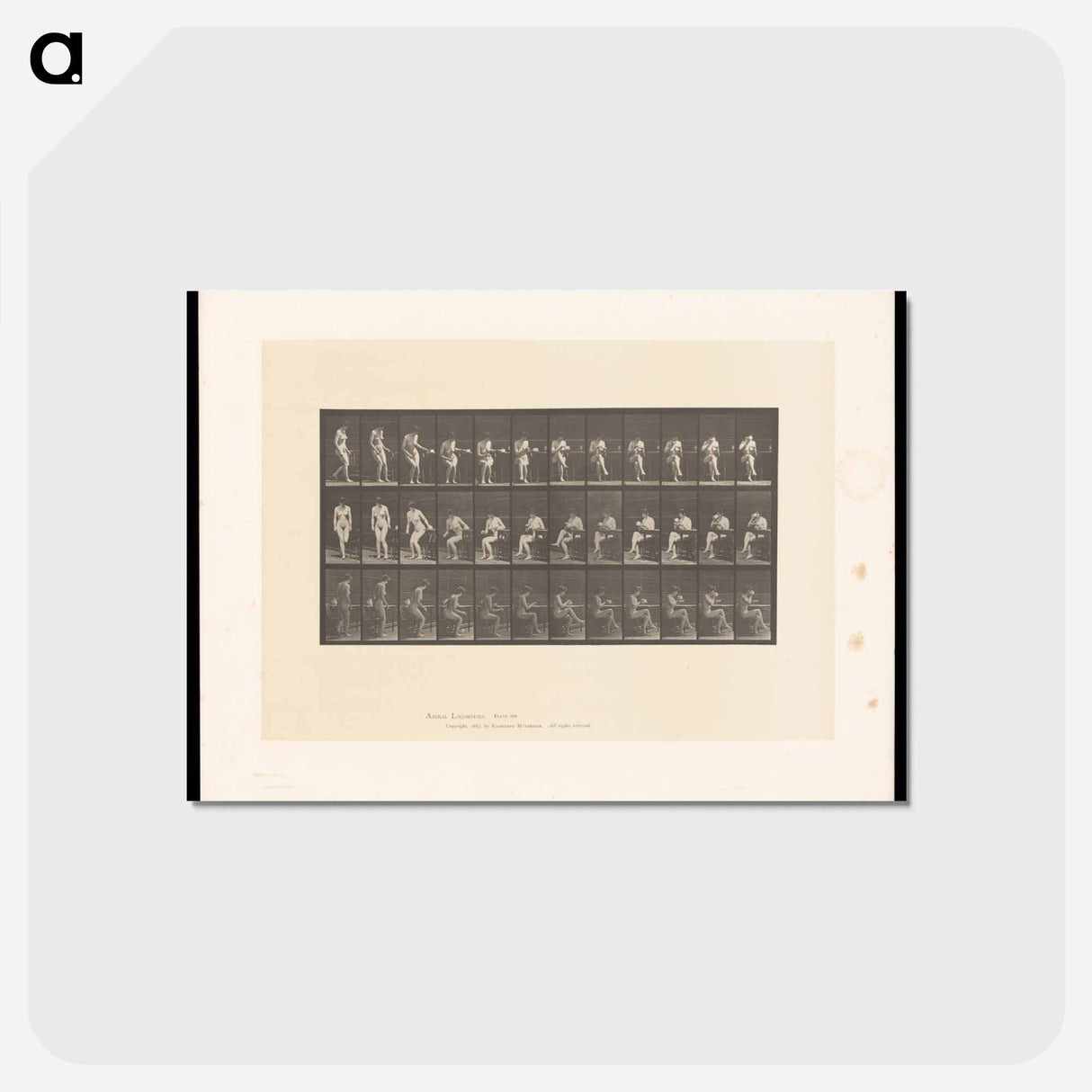 アートポストカード-Woman with Cup
- エドワード マイブリッジ Postcard.