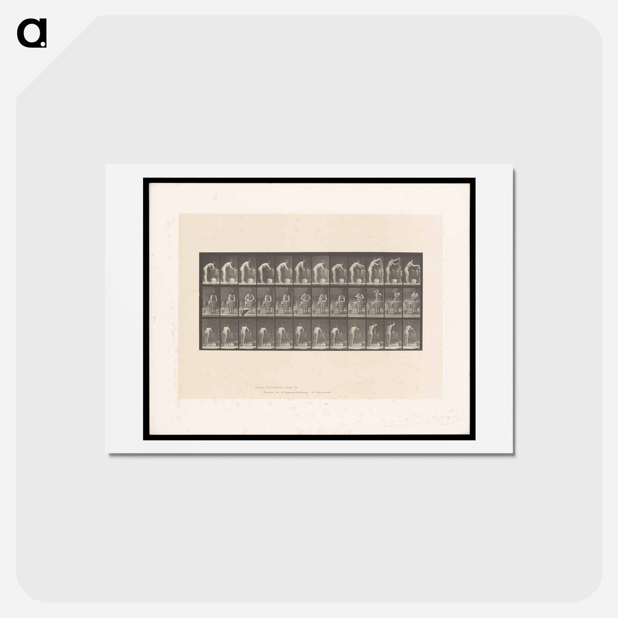 アートポストカード-Woman Washing
- エドワード マイブリッジ Postcard.
