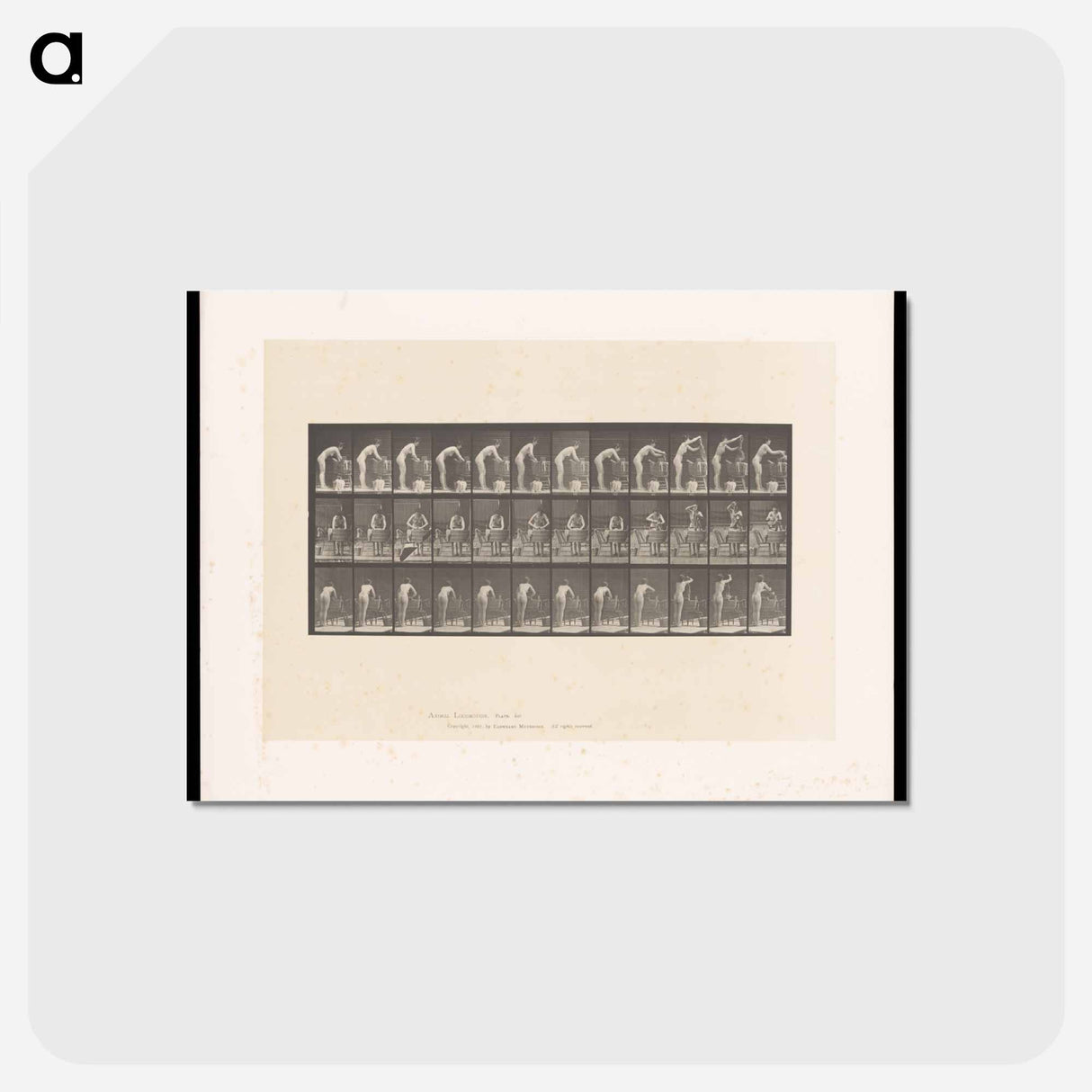 アートポストカード-Woman Washing
- エドワード マイブリッジ Postcard.