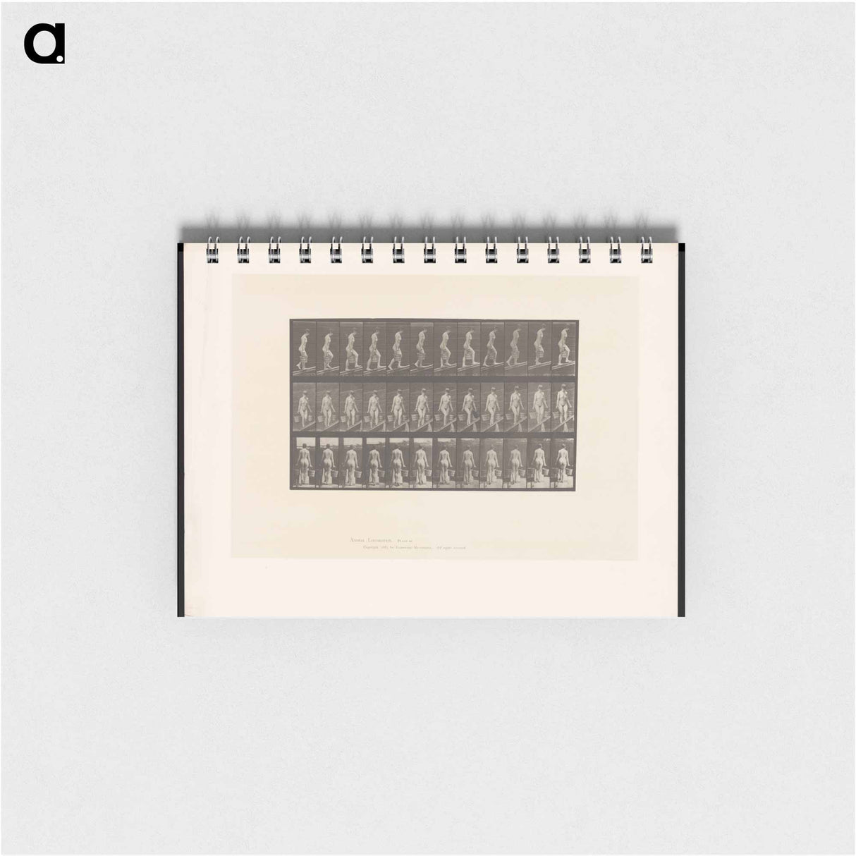 アートメモ帳-Ascent with Buckets
- エドワード マイブリッジ Memo.