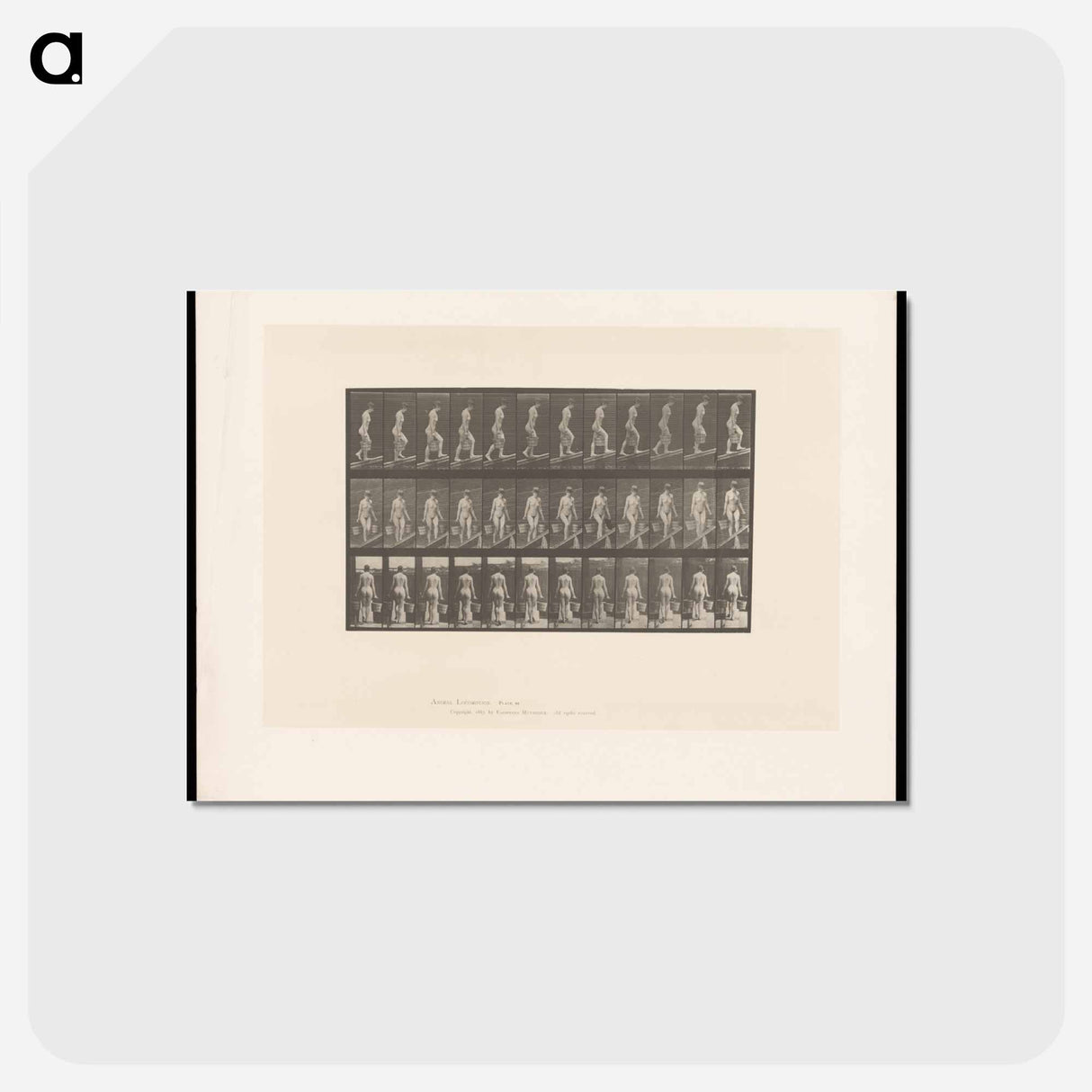 アートポストカード-Ascent with Buckets
- エドワード マイブリッジ Postcard.