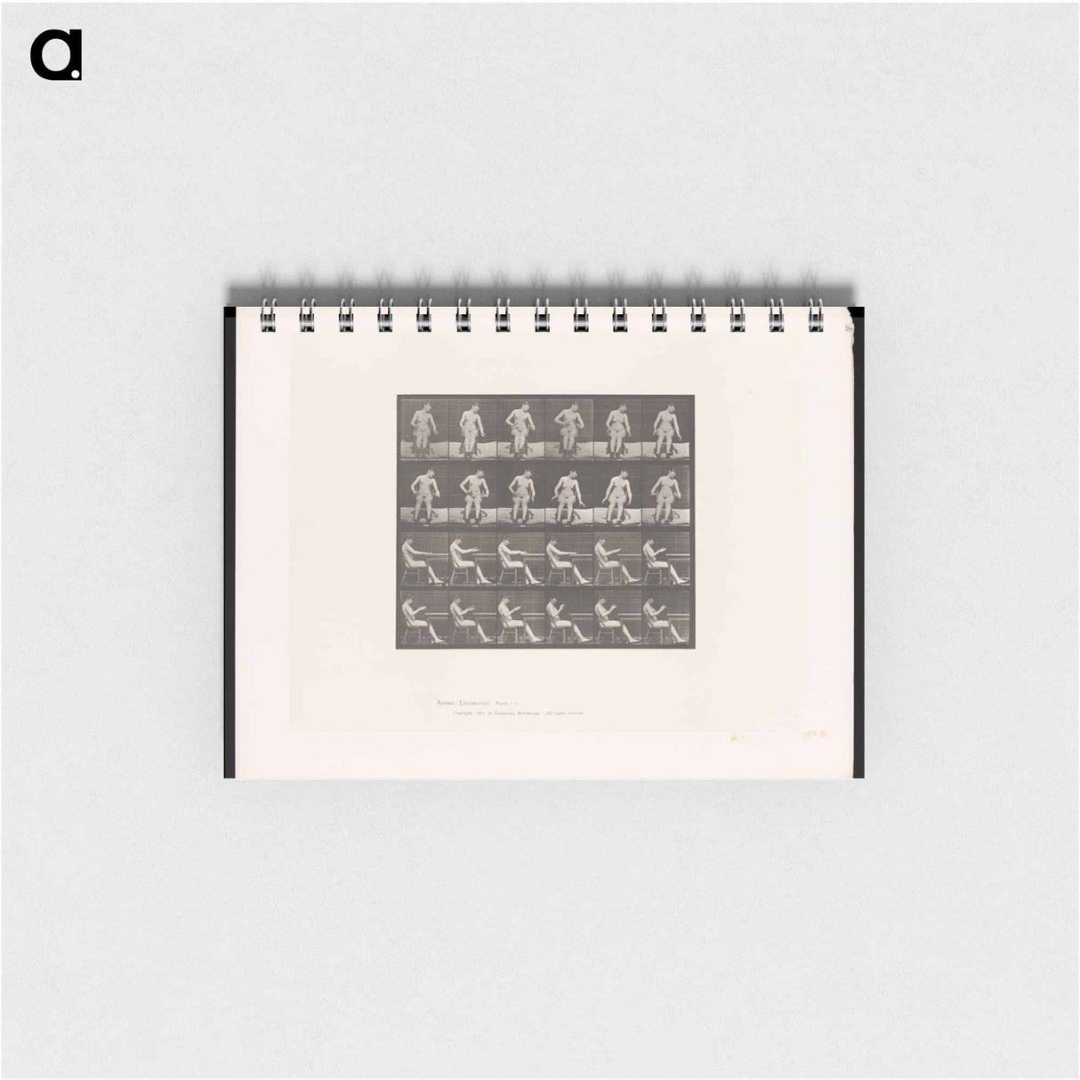 アートメモ帳-Convulsions
- エドワード マイブリッジ Memo.