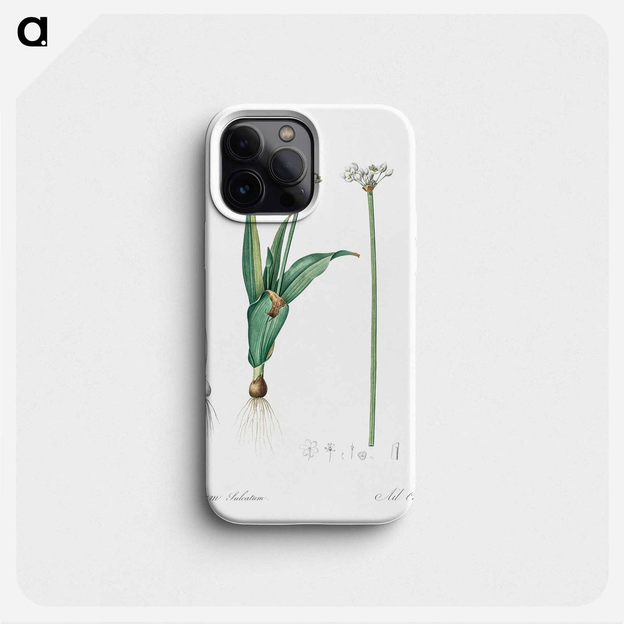 Ornamental onion illustration - Pierre Joseph Redouté Phone Case.
