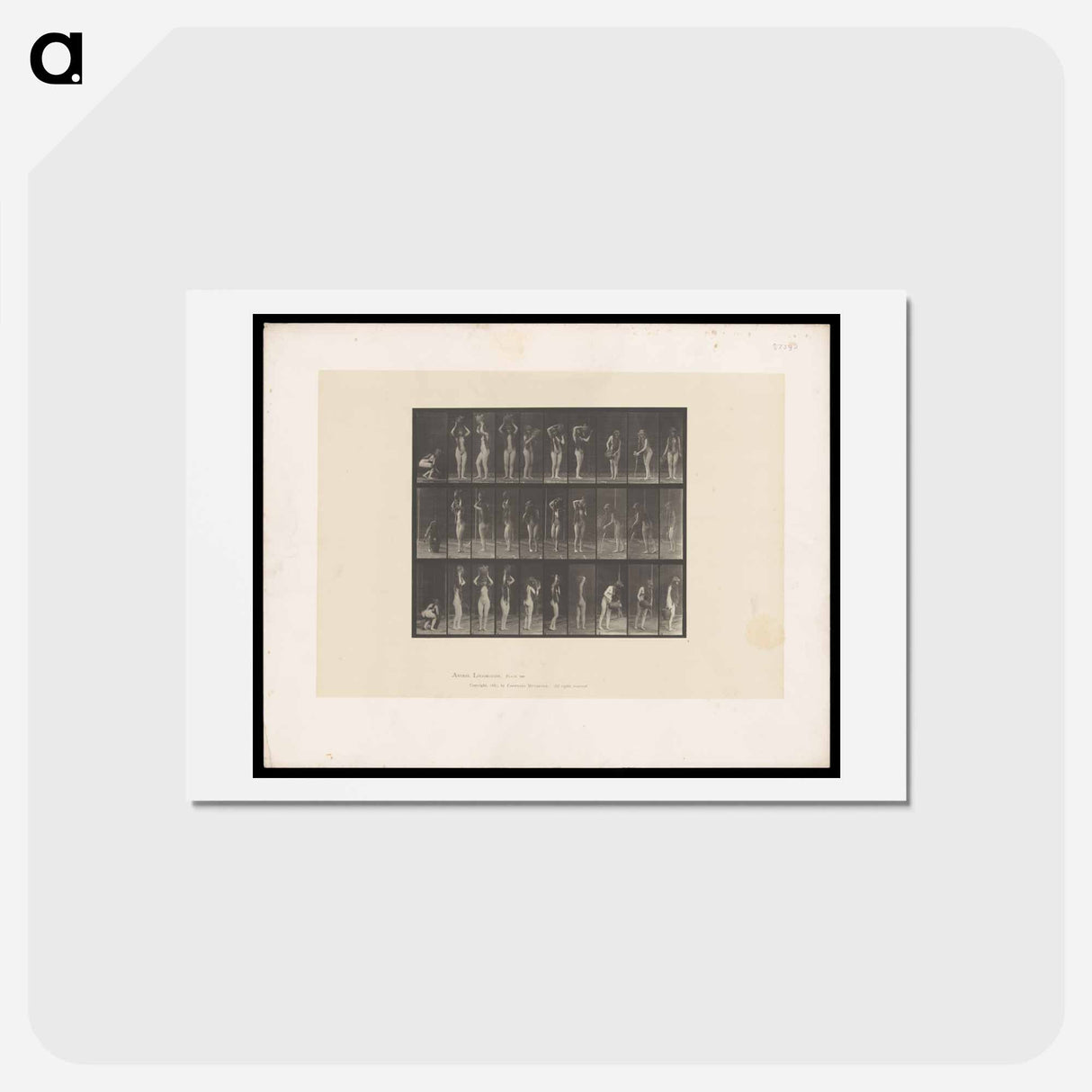 アートポストカード-Water Bearer
- エドワード マイブリッジ Postcard.