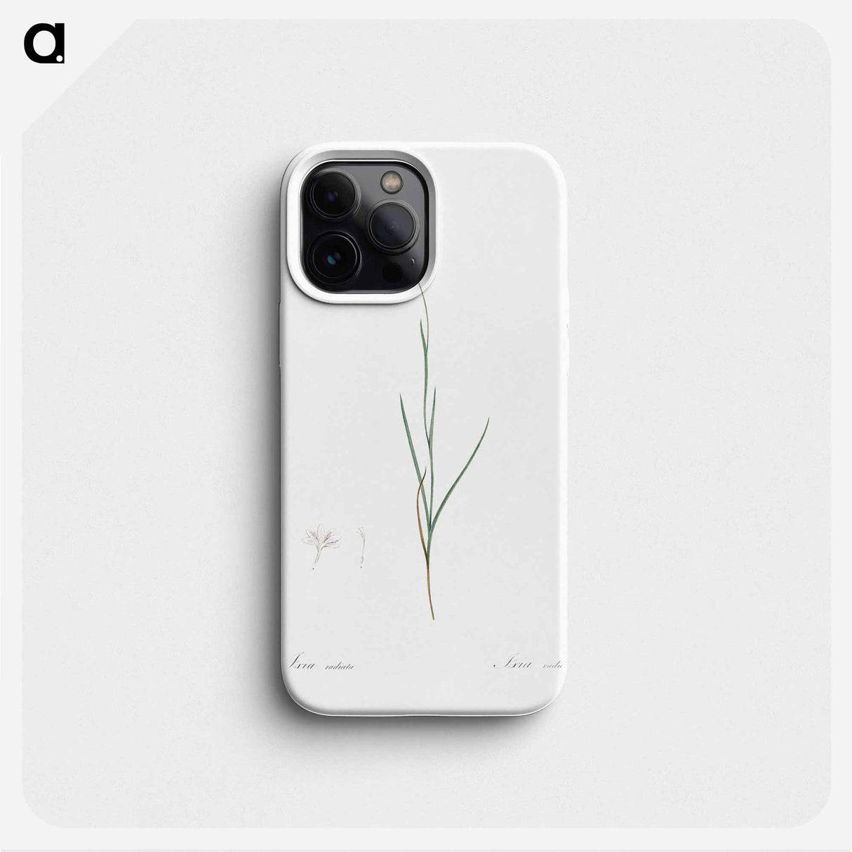 Hesperantha - Pierre Joseph Redouté Phone Case.