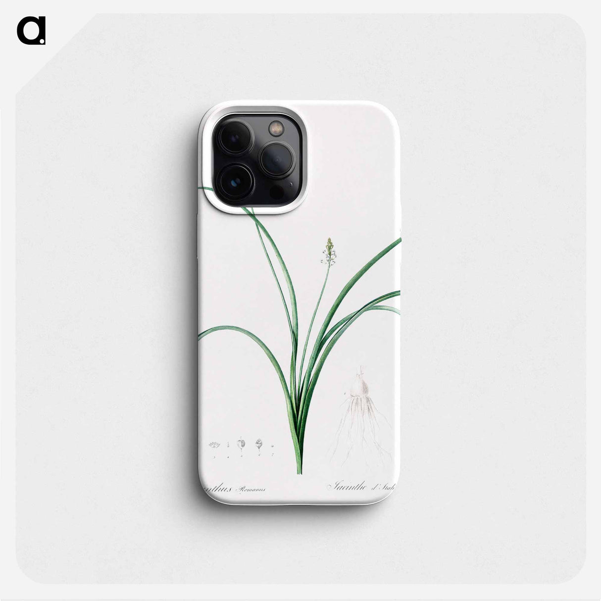 Roman hyacinth illustration - Pierre Joseph Redouté Phone Case.